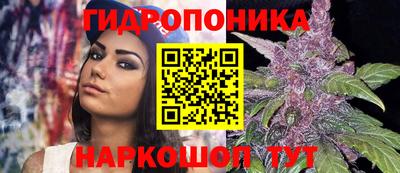 амф Гай