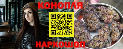 мяу мяу мука Гатчина
