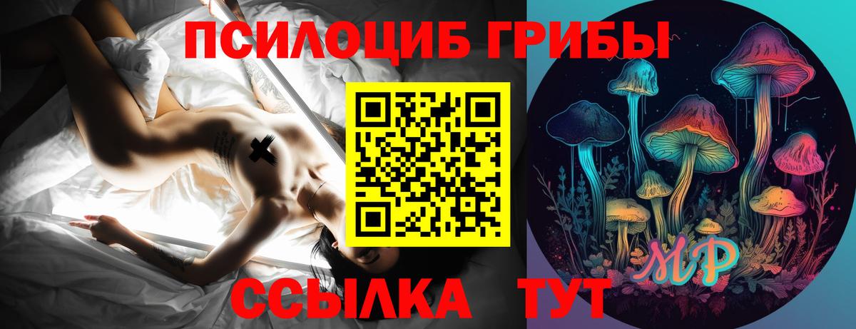 Псилоцибиновые грибы мицелий Ишим